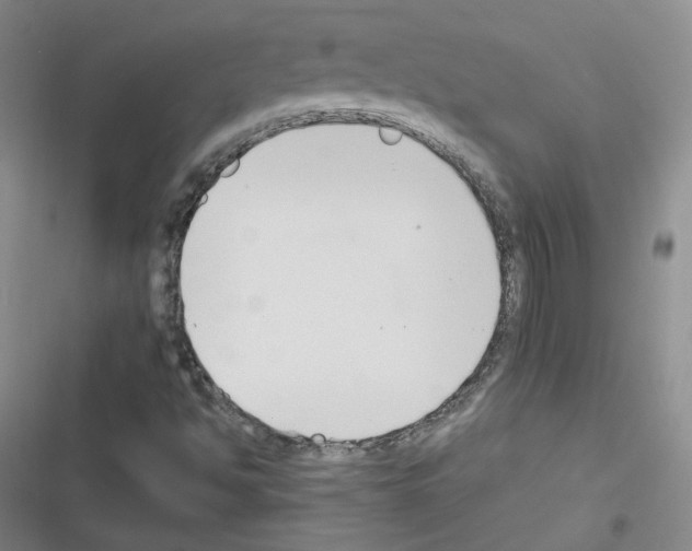 X0000116331494201001131013