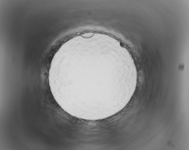 X0000116331495201001131013
