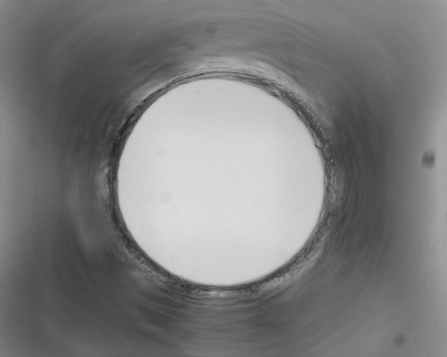 X0000116331497201001131013