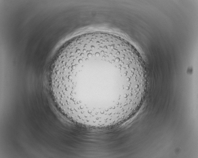 X0000116331499201001131013