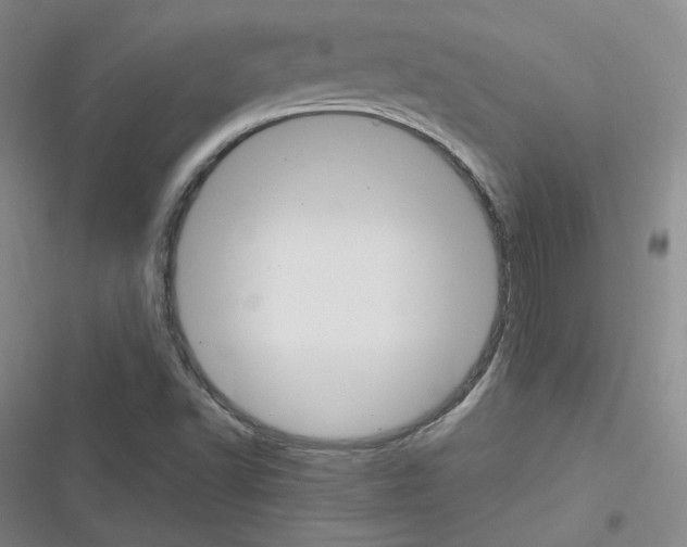 X0000116331502201001131013