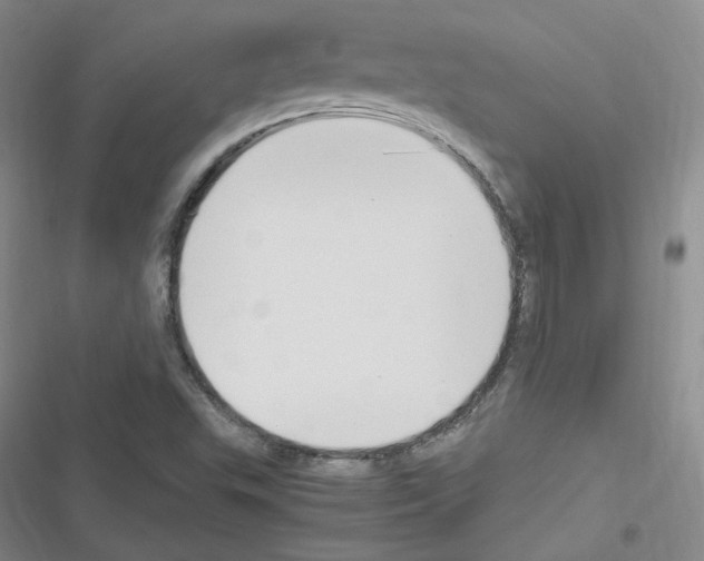 X0000116331503201001131013