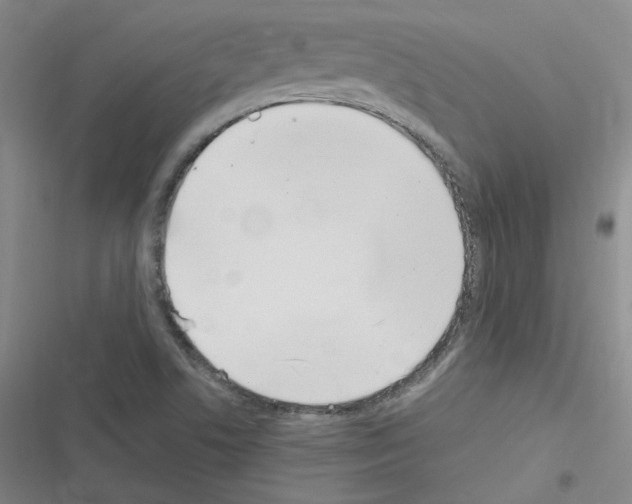 X0000116331506201001131013