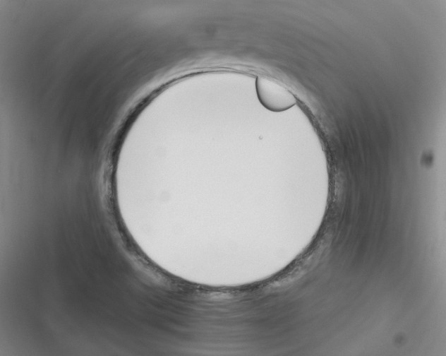 X0000116331507201001131013