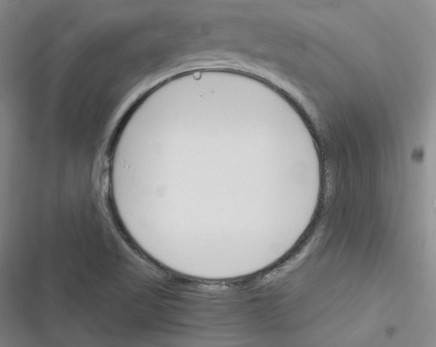 X0000116331509201001131013