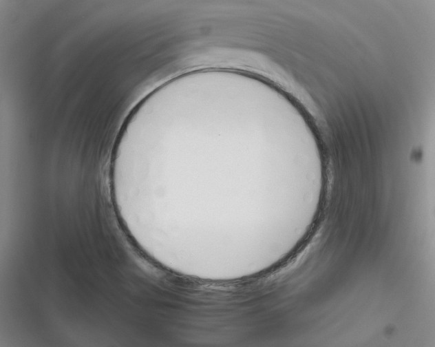 X0000116331513201001131013