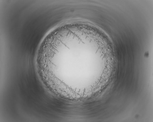 X0000116331514201001131013