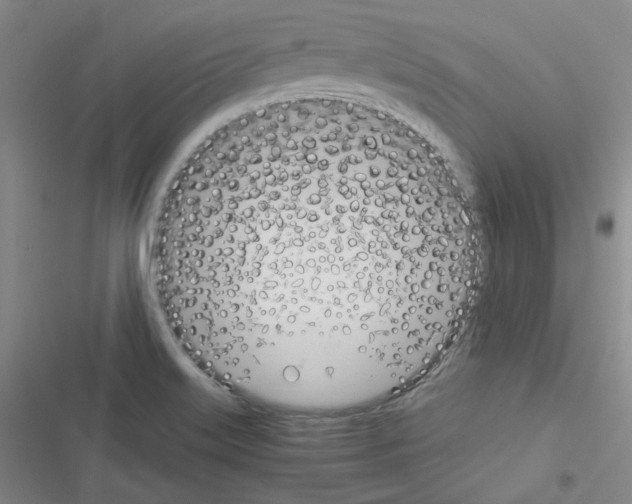 X0000116331515201001131013