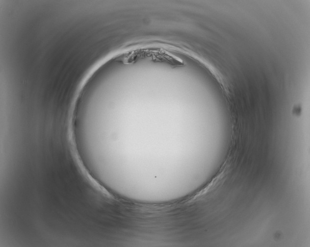 X0000116331518201001131013