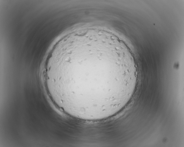 X0000116331519201001131013
