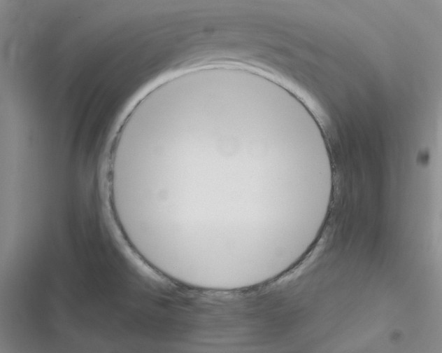 X0000116331526201001131014