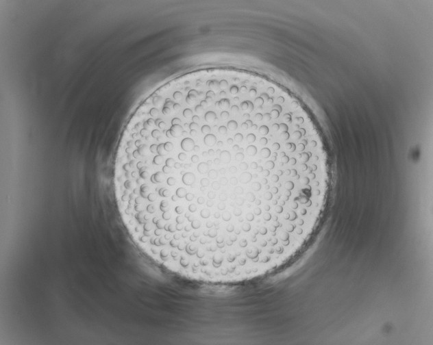 X0000116331529201001131014