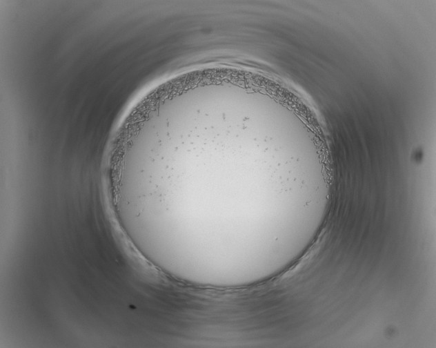 X0000116331530201001131014