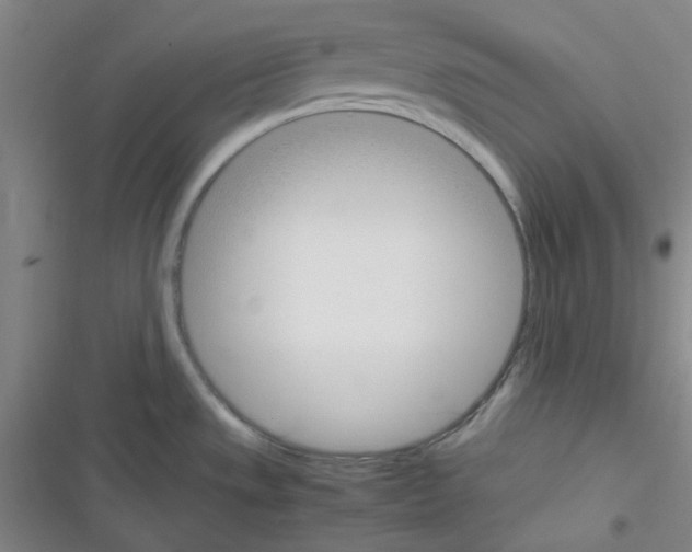 X0000116331533201001131014