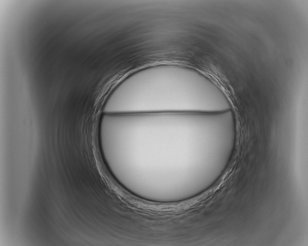 X0000116340001200912011027
