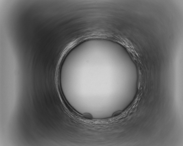 X0000116340003200912011027