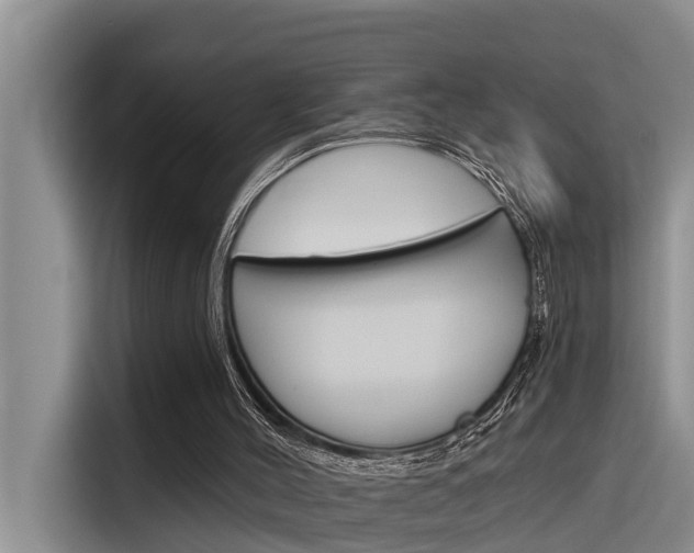 X0000116340004200912011027