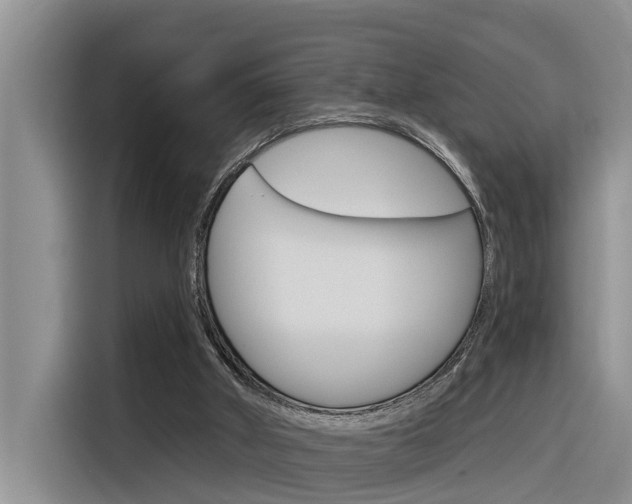 X0000116340010200912011027
