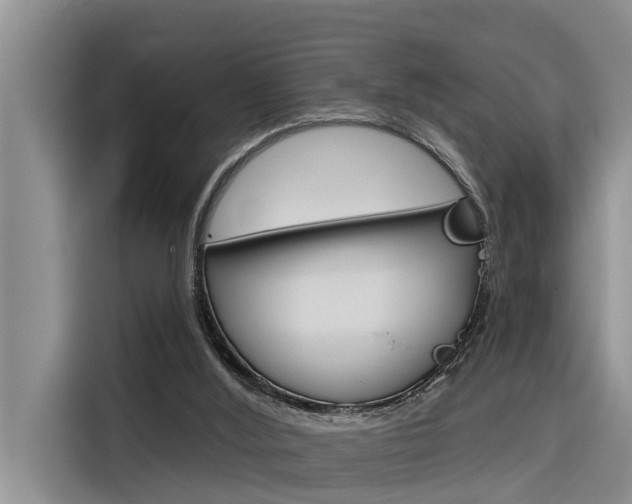 X0000116340012200912011027