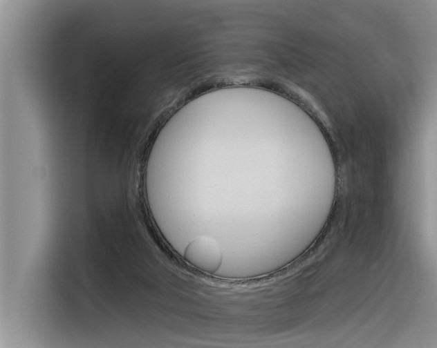 X0000116340018200912011027