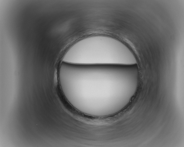 X0000116340020200912011027