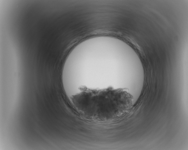 X0000116340024200912011027