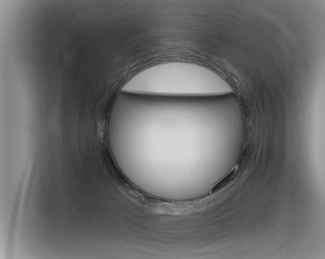 X0000116340033200912011027