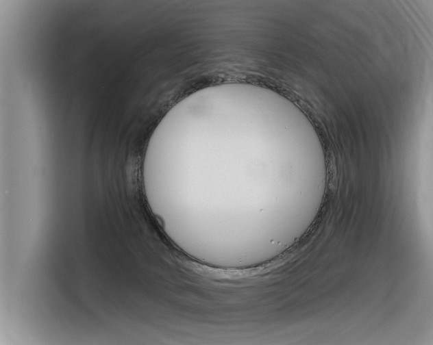 X0000116340034200912011027