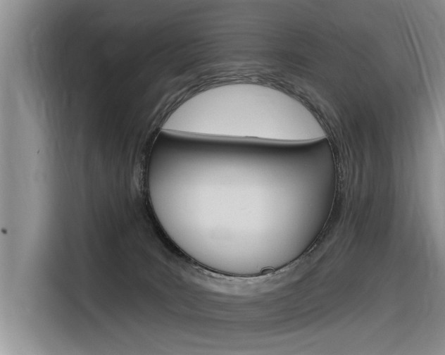 X0000116340035200912011027