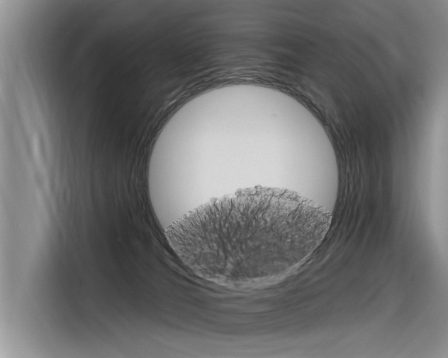 X0000116340036200912011027