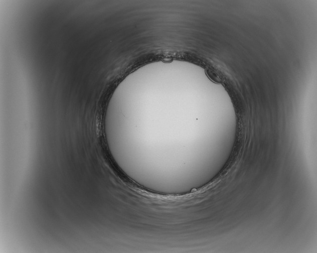 X0000116340039200912011027
