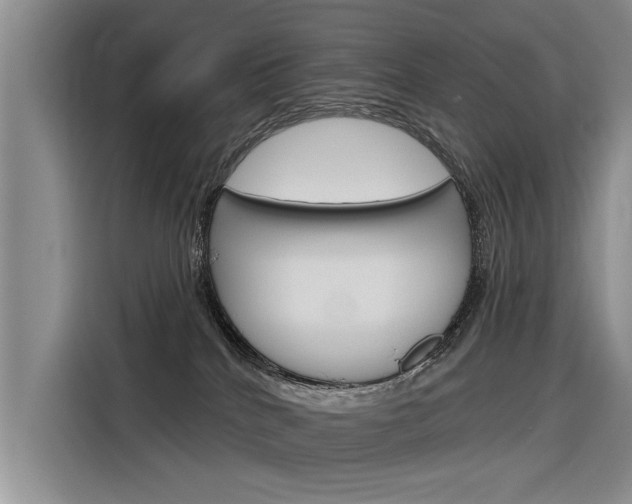 X0000116340040200912011027