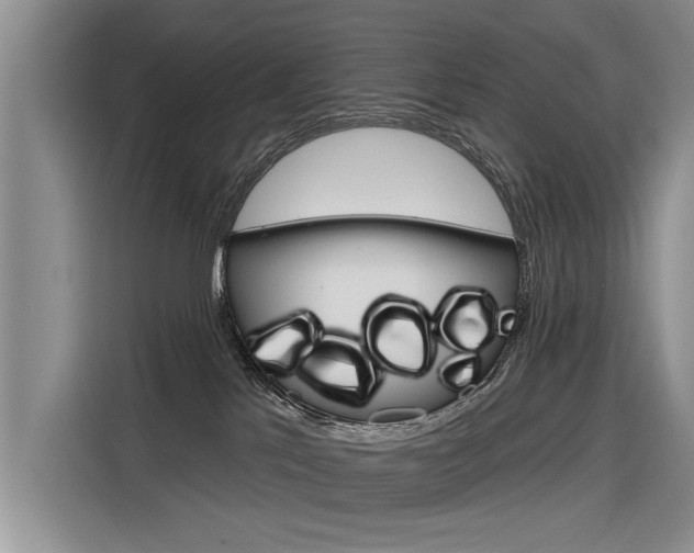 X0000116340041200912011027