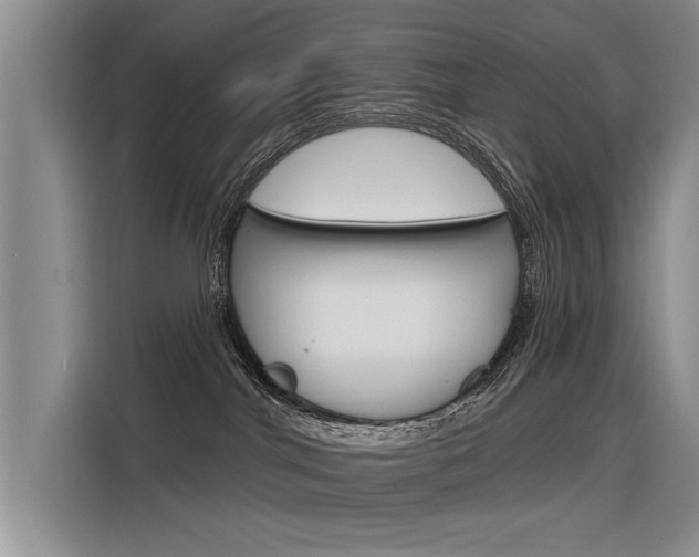 X0000116340044200912011027