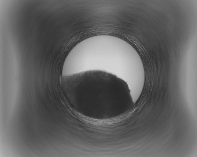 X0000116340046200912011027