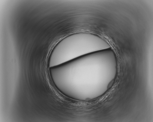 X0000116340049200912011026