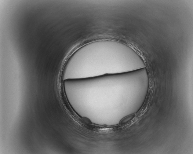 X0000116340053200912011026