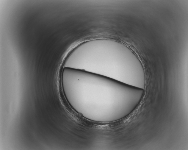 X0000116340054200912011026