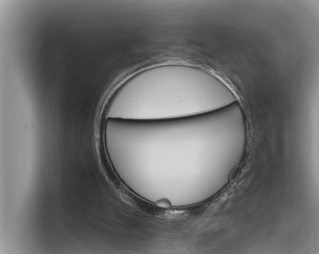 X0000116340055200912011026