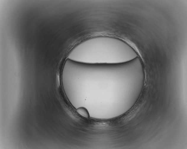 X0000116340061200912011026