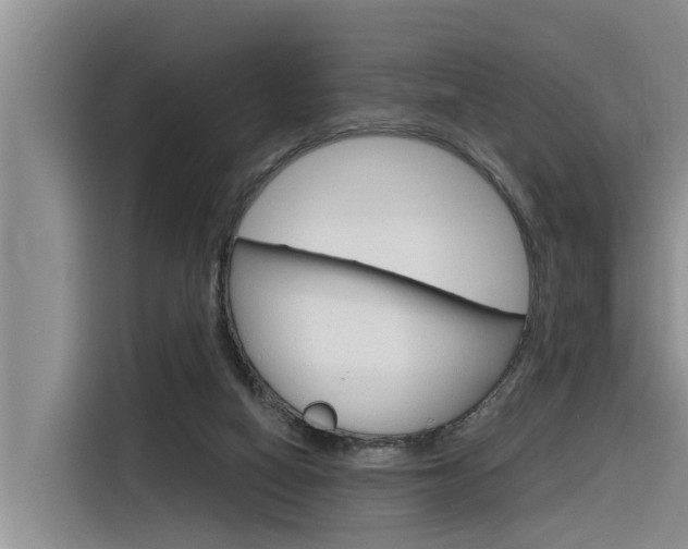 X0000116340066200912011026