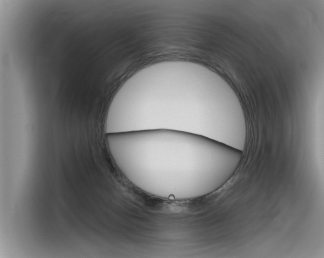 X0000116340078200912011027
