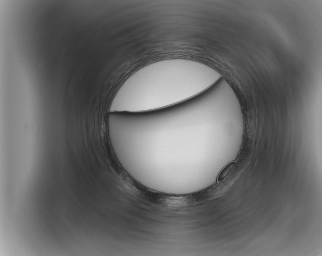X0000116340085200912011027