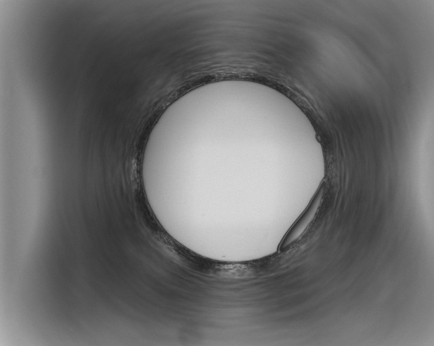 X0000116340087200912011027