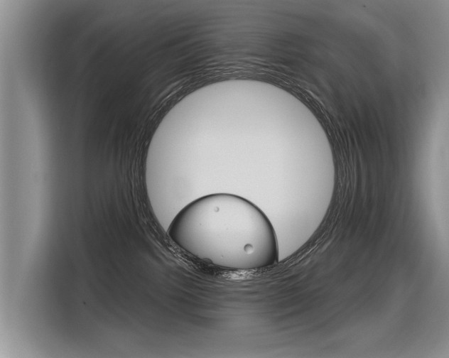 X0000116340092200912011027