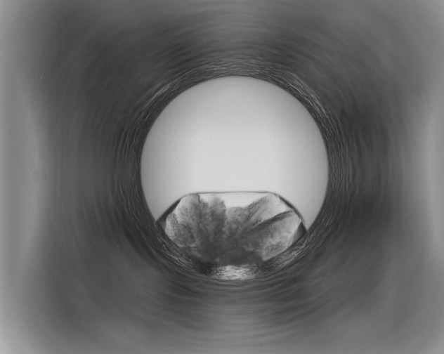 X0000116340095200912011027