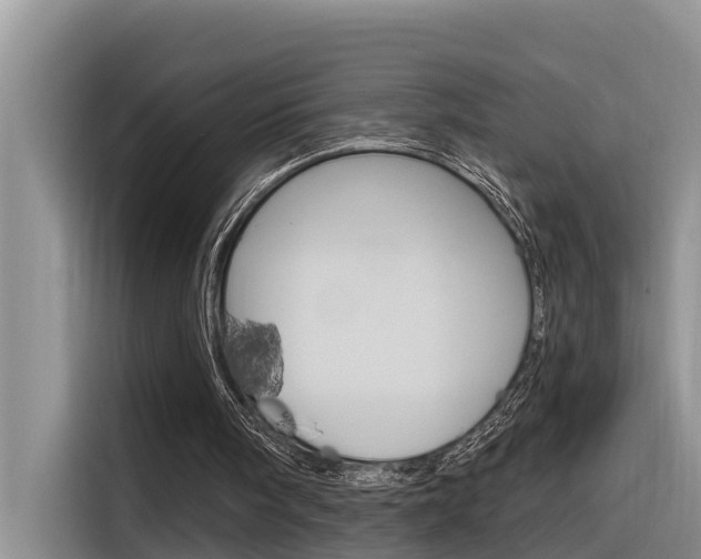 X0000116340098200912011026