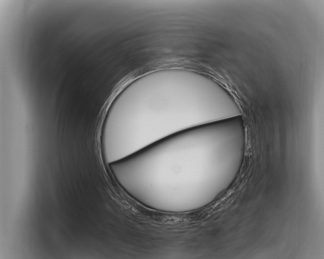X0000116340099200912011026