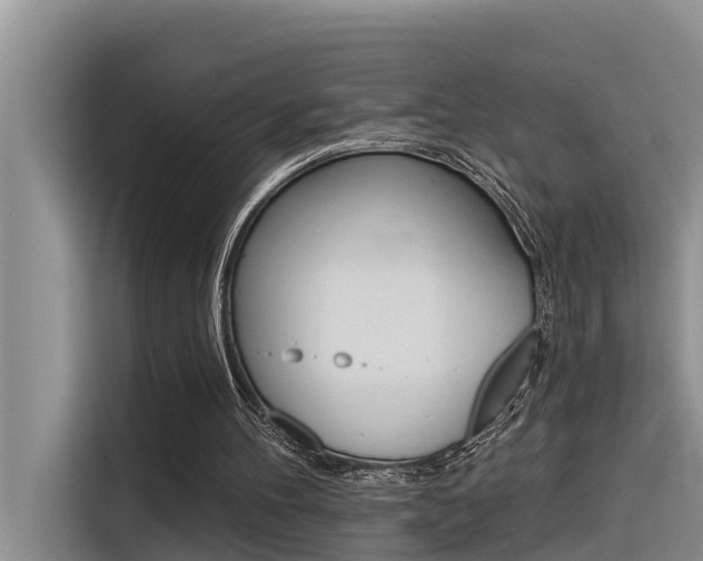 X0000116340100200912011026