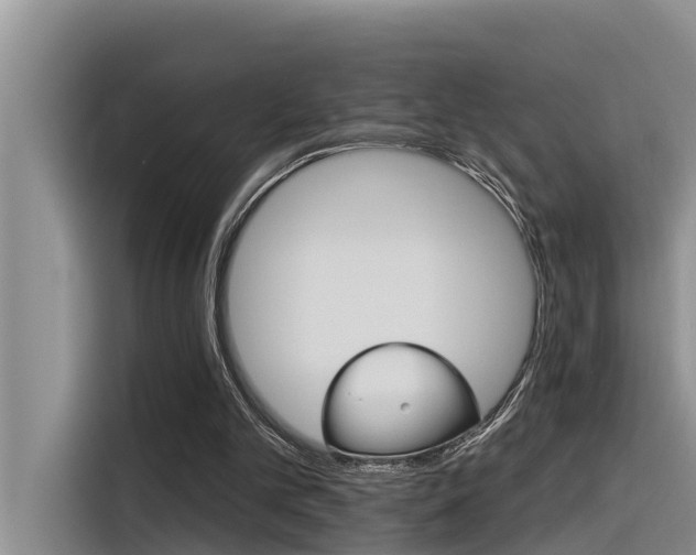 X0000116340101200912011026